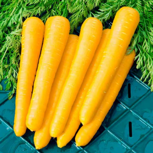 Морковь Мармелад желтый