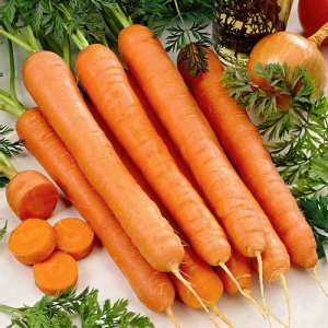 Морковь Русский Размер