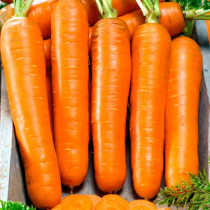 Морковь Карамель желтая