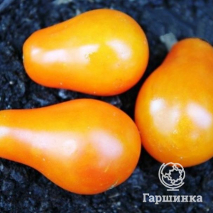 Семена Томат Груша оранжевая