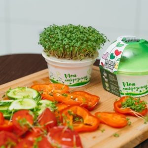 Набор для выращивания Моя микрозелень - Кресс салат