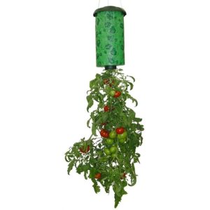Topsy Turvy - вертикальное выращивание помидоров