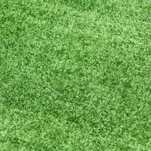 Газон искусственный Silverstone Carpet 8мм 2x1м
