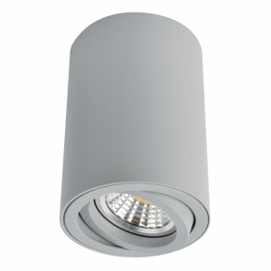 Точечный светильник Arte Lamp Sentry A1560PL-1GY