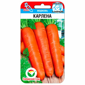 Морковь Карлена Сибирский сад
