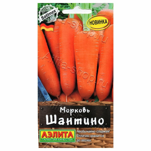 Морковь Шантино Аэлита