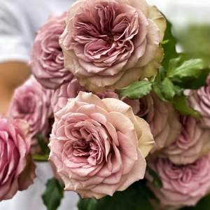 Роза флорибунда с ароматом дорогого парфюма Монмартр