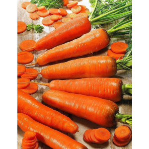 Морковь Оранжевая медовая (УД) 1,5 гр цв.п.
