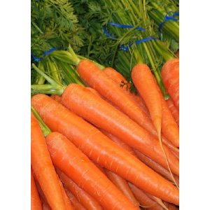 Морковь Красавка (УД) 2 гр цв.п.