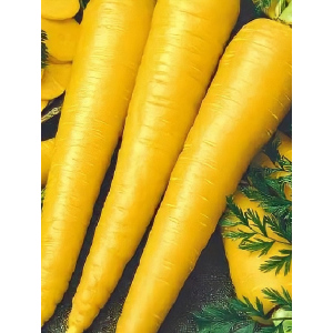 Морковь Чурчхела жёлтая (УД) 0,5 гр цв.п.