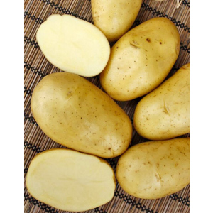 Картофель Триумф, элита 1 кг