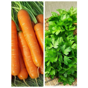 Смесь морковно-петрушечная 5 гр б.п