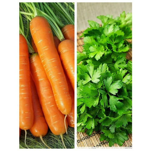 Смесь морковно-петрушечная 5 гр б.п