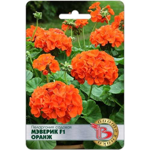 Пеларгония садовая Мэверик F1 Оранж 5 шт