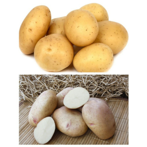 Набор картофель семенной "Раннеспелый" 2 сорта (2 кг)