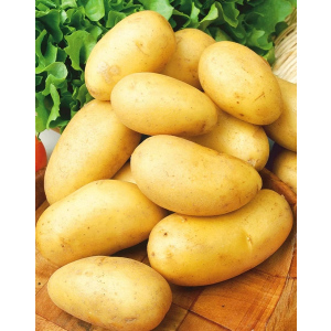 Картофель Леди Анна, 1 кг