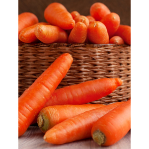 Морковь Корейская закуска (УД) 2 гр цв.п.