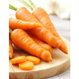 Морковь Сладкоежка Дачника F1 (УД) 2 гр цв п