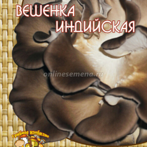 Вешенка Индийская (12 шт.)