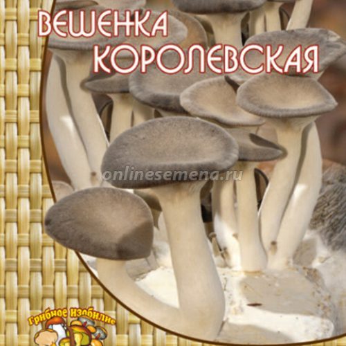 Вешенка Королевская (12 шт.)