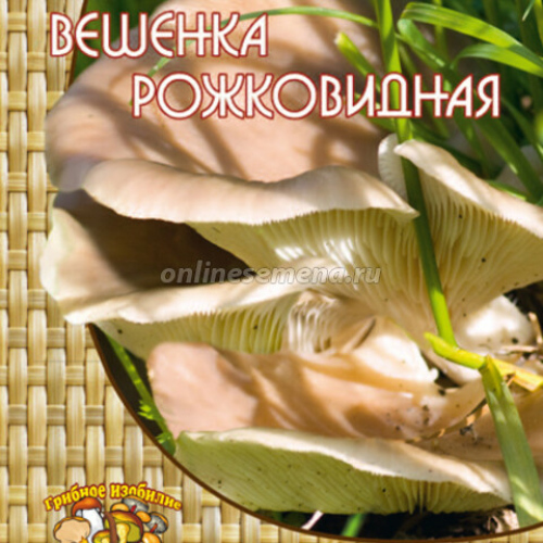 Вешенка рожковидная (12 шт.)