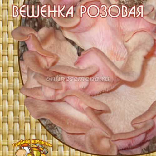 Вешенка розовая (12 шт.)