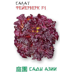 Салат "Сады Азии" Фейерверк F1 0,5г