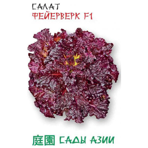 Салат "Сады Азии" Фейерверк F1 0,5г