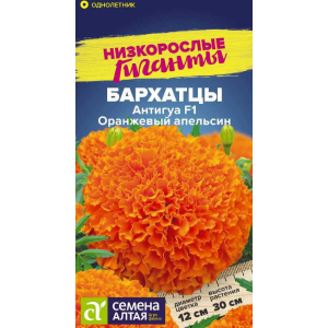 Семена Бархатцы "Семена Алтая" Антигуа F1 Оранжевый апельсин 5шт