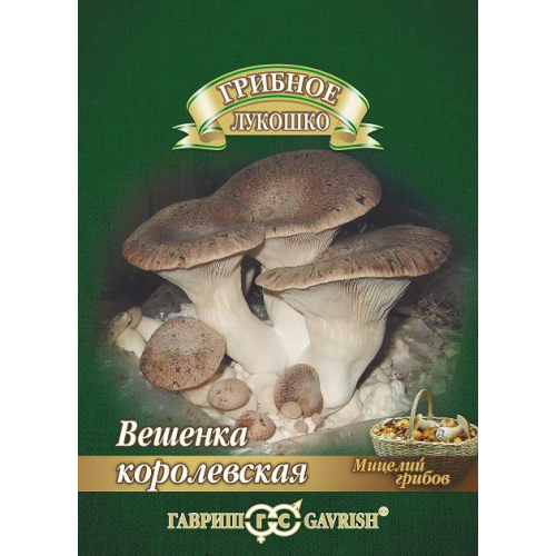 Вешенка "Гавриш" Королевская 12шт