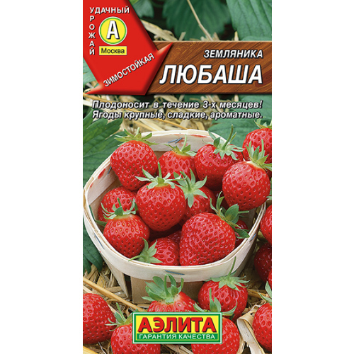 Земляника ремонтантная "Аэлита" Любаша 10шт