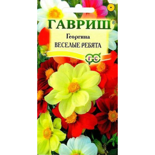 Георгина "Гавриш" Веселые ребята 0,3г