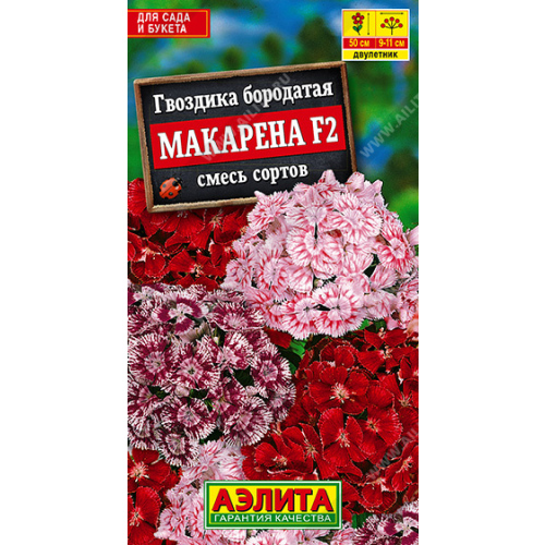 Гвоздика "Аэлита" Макарена F2, смесь сортов 0,2г