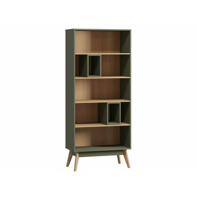Стеллаж Торвалль-1 Olive