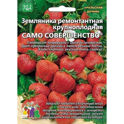 Земляника Само совершенство - ремонтантная (УД) 10 шт