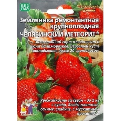 Земляника Челябинский метеорит - ремонтантная (УД) 10 шт